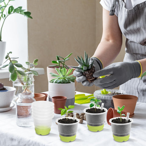 Sckee pots with drainage holes promote root respiration and airflow.