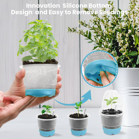 Sckee pots with drainage holes support root respiration and prevent rot.