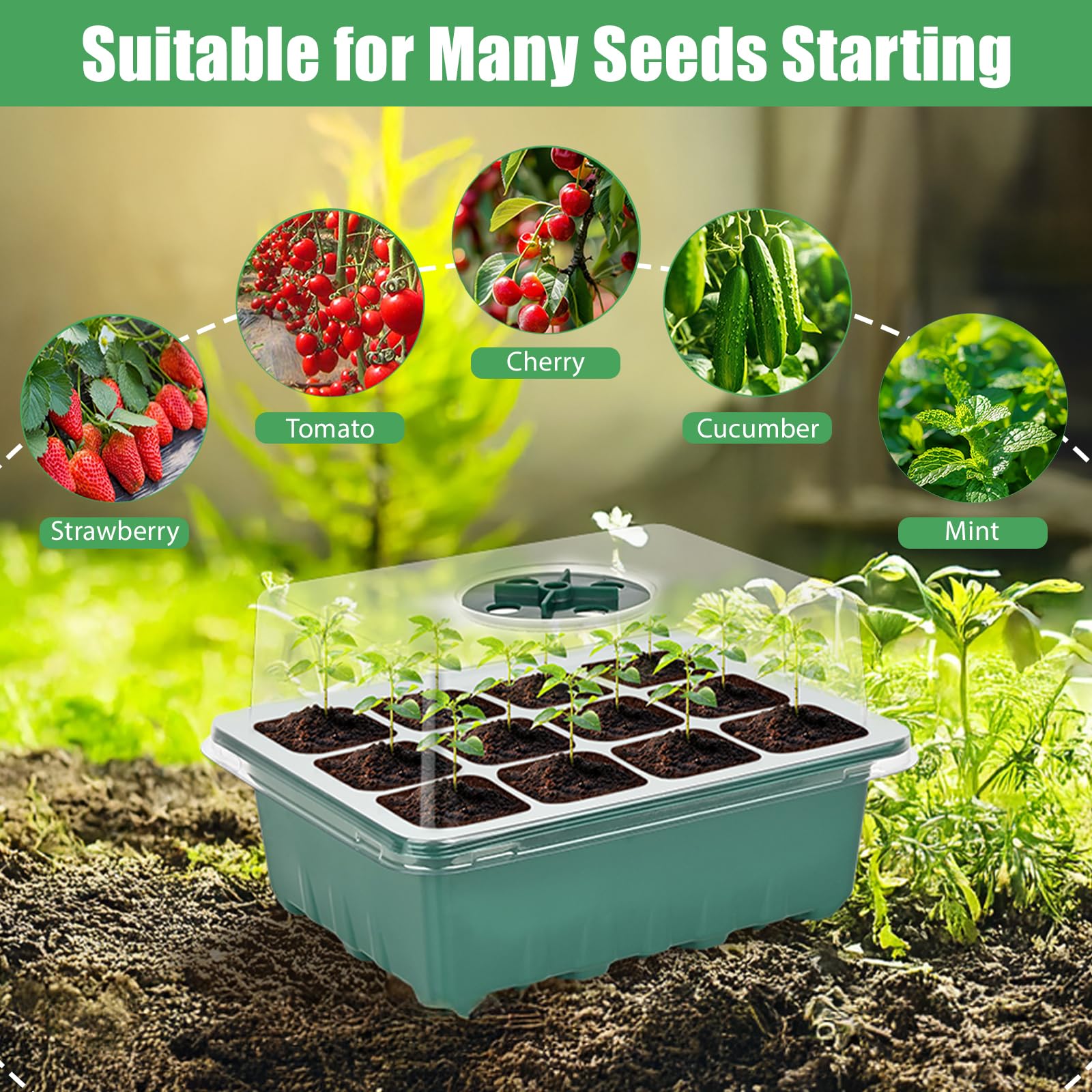 Sckee plant labels help track species and germination progress.