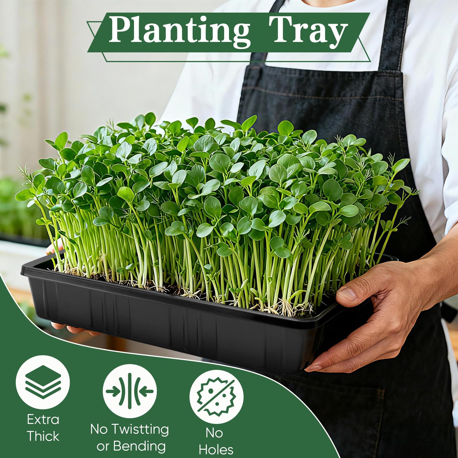 Sckee seed starting tray designed for microgreens for indoor use