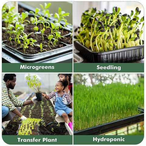 Sckee Durable plastic seedling trays withstand repeated reuse in busy setups.
