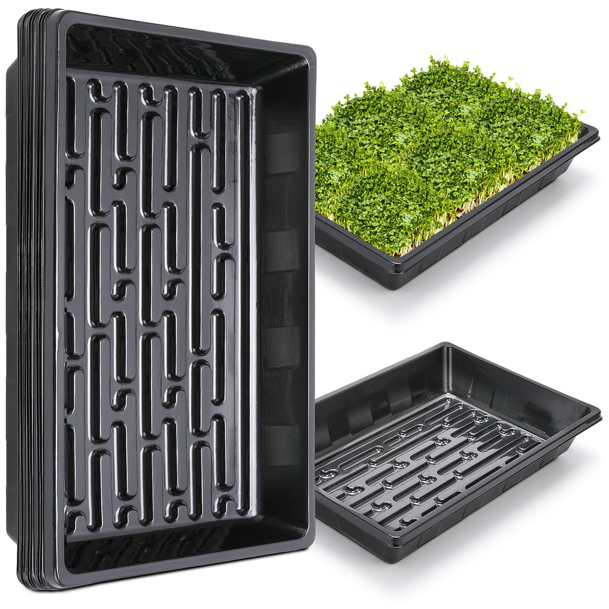 Sckee upgraded seed starting tray top view for neat germination spaces