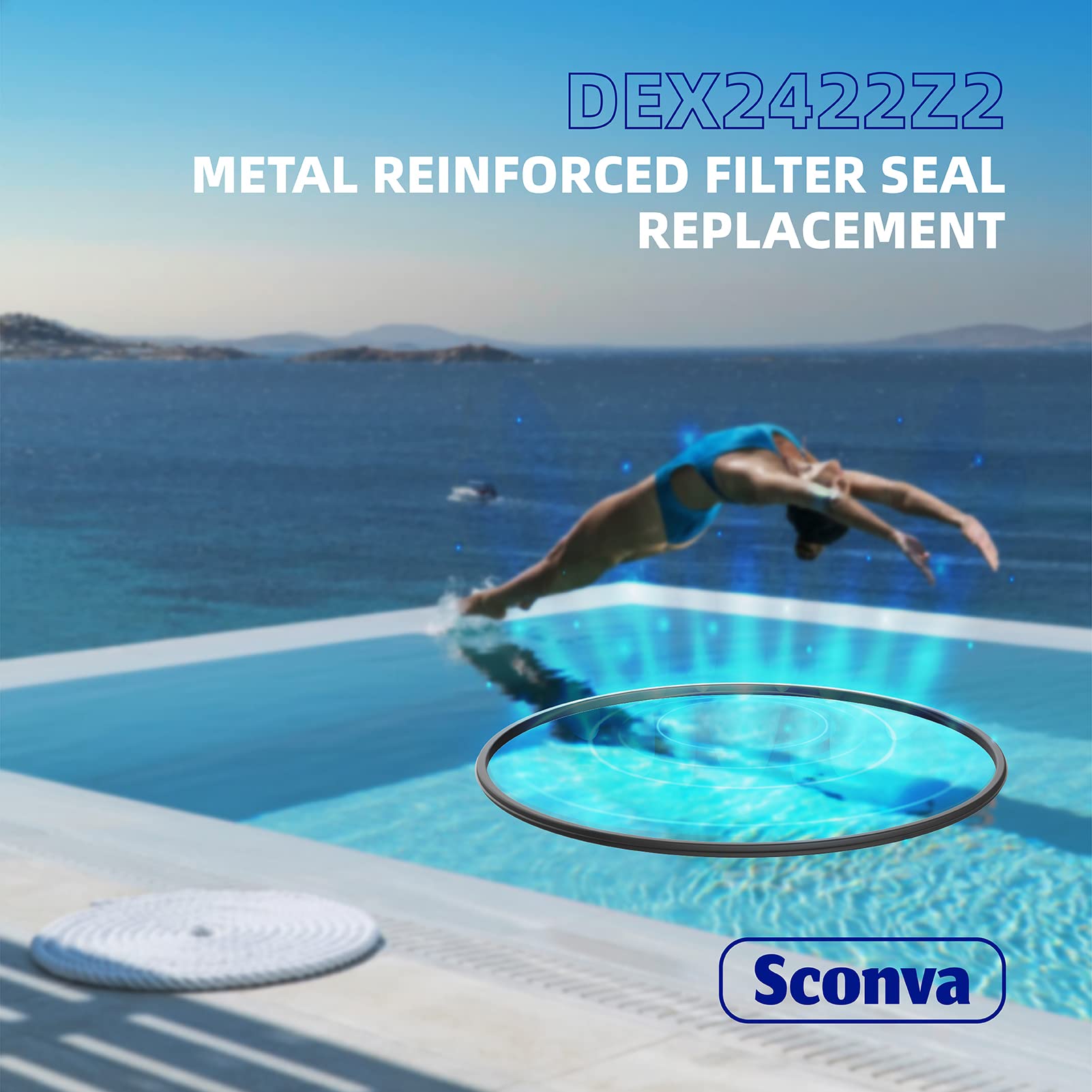 Sconva DEX2422Z2 replacement seal supports reliable pool maintenance.