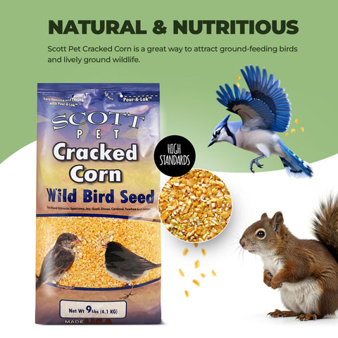 Cracked corn spread on the ground for easy backyard feeding setup by Scott Pet.
