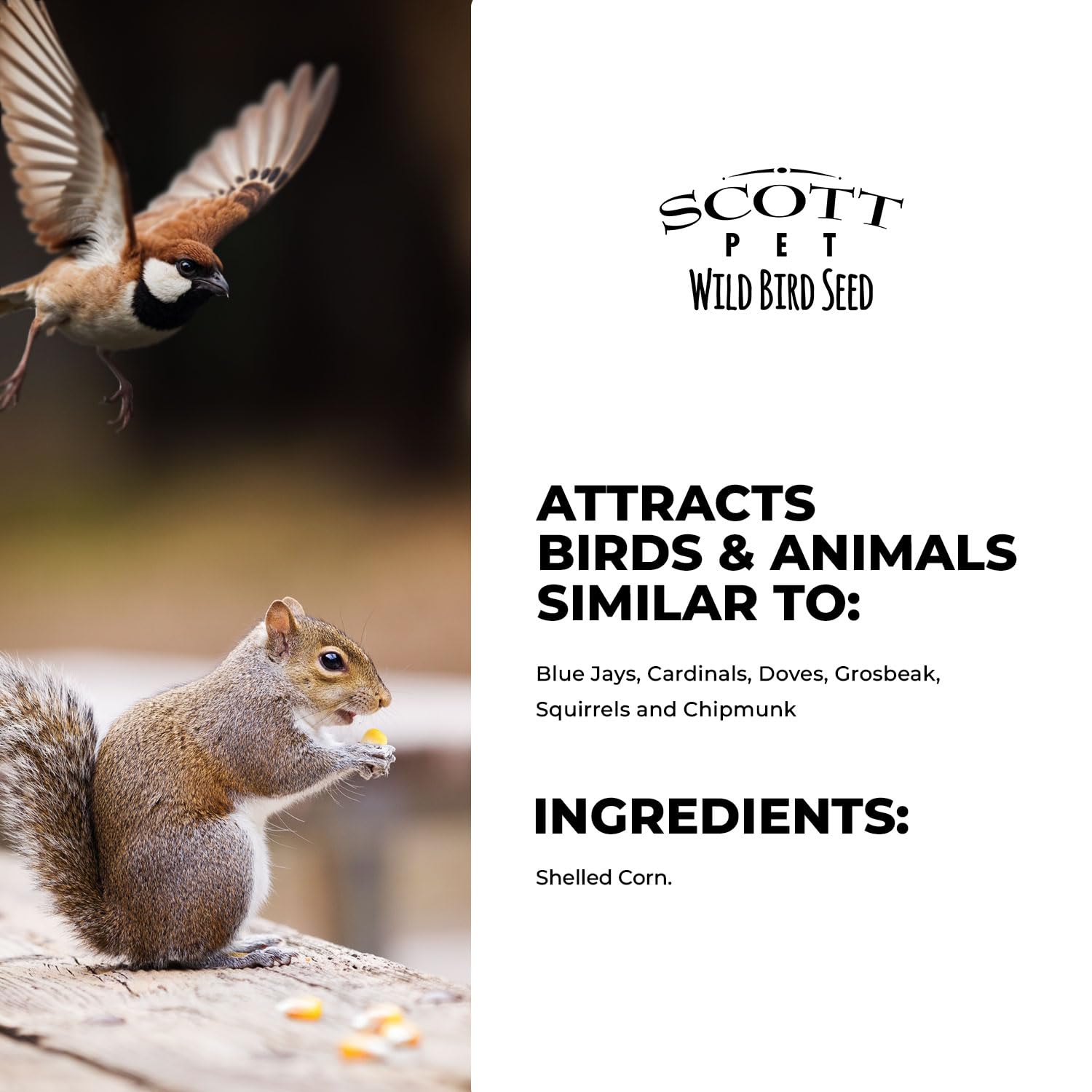 Scott Pet Shelled Corn can be fed alone or mixed with seed.