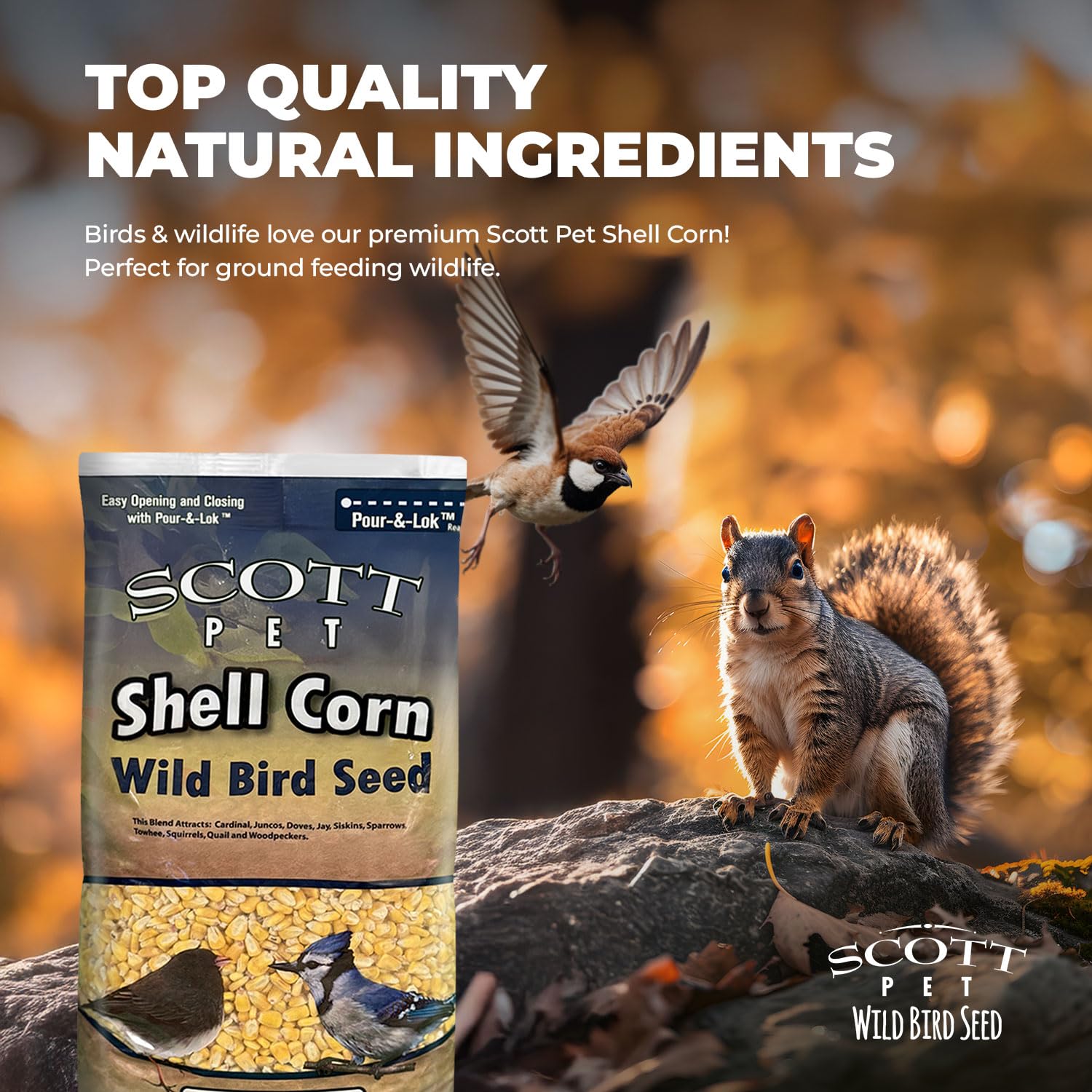 Scott Pet Shelled Corn invites squirrels and chipmunks to nearby foraging areas.