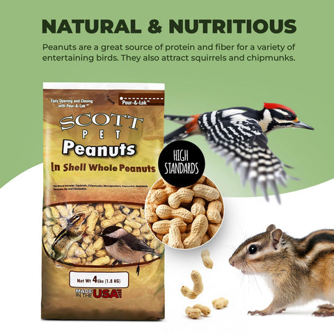 Scott Pet Wild Bird Seed feeding scene with multiple bird species at feeder