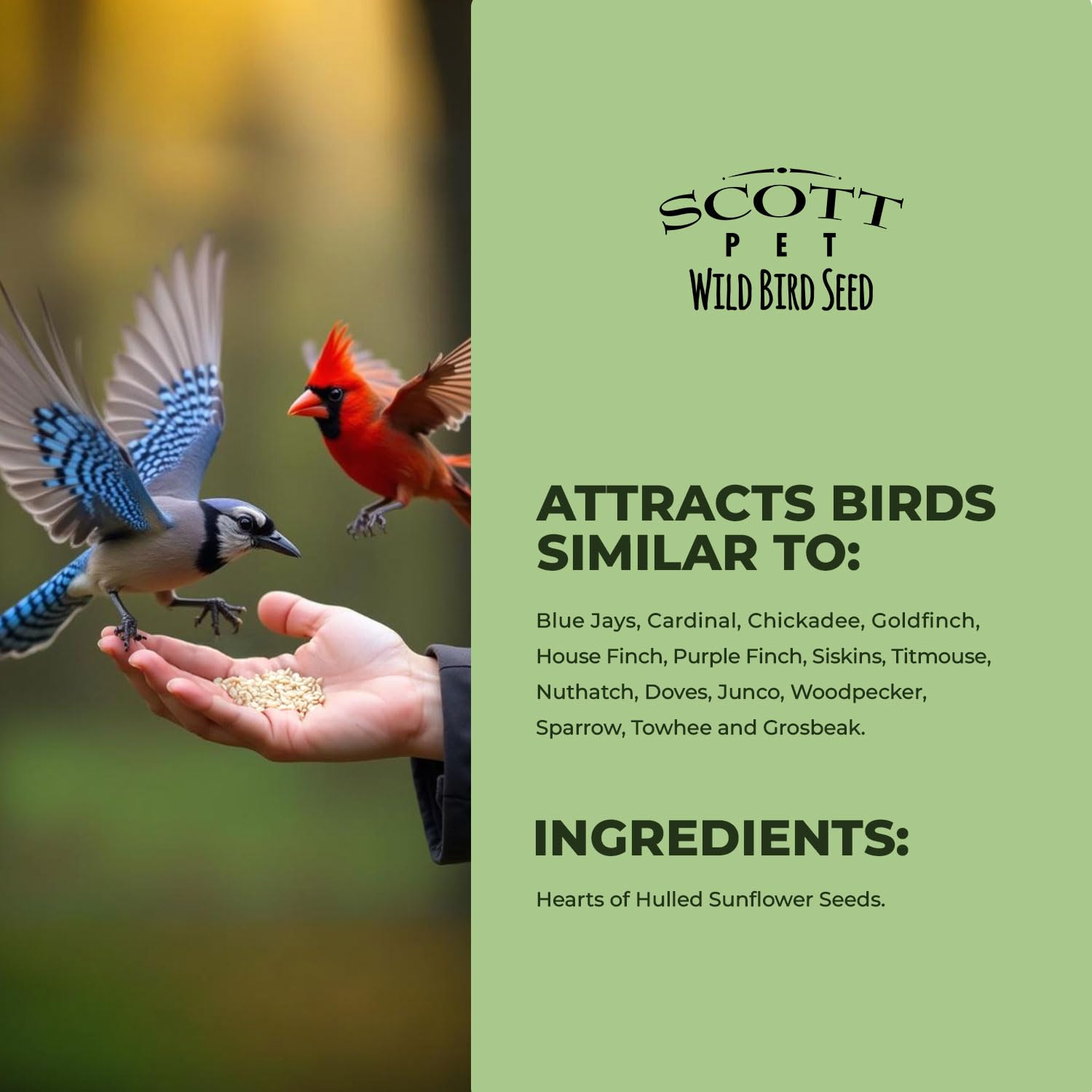 Scott Pet Sunflower Hearts provide energy and protein for backyard birds