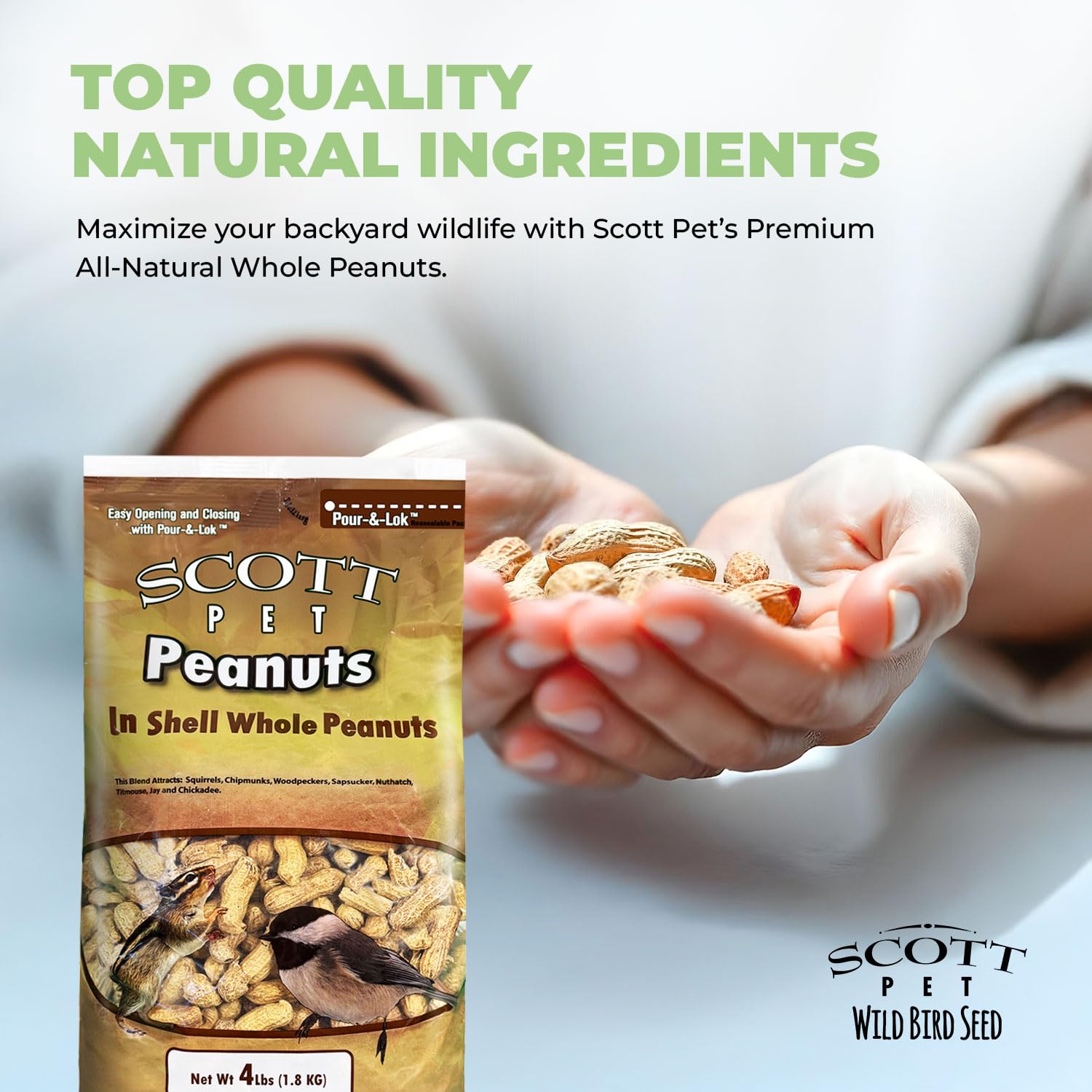 Scott Pet Wild Bird Seed image with squirrels and chipmunks illustrating wildlife attraction