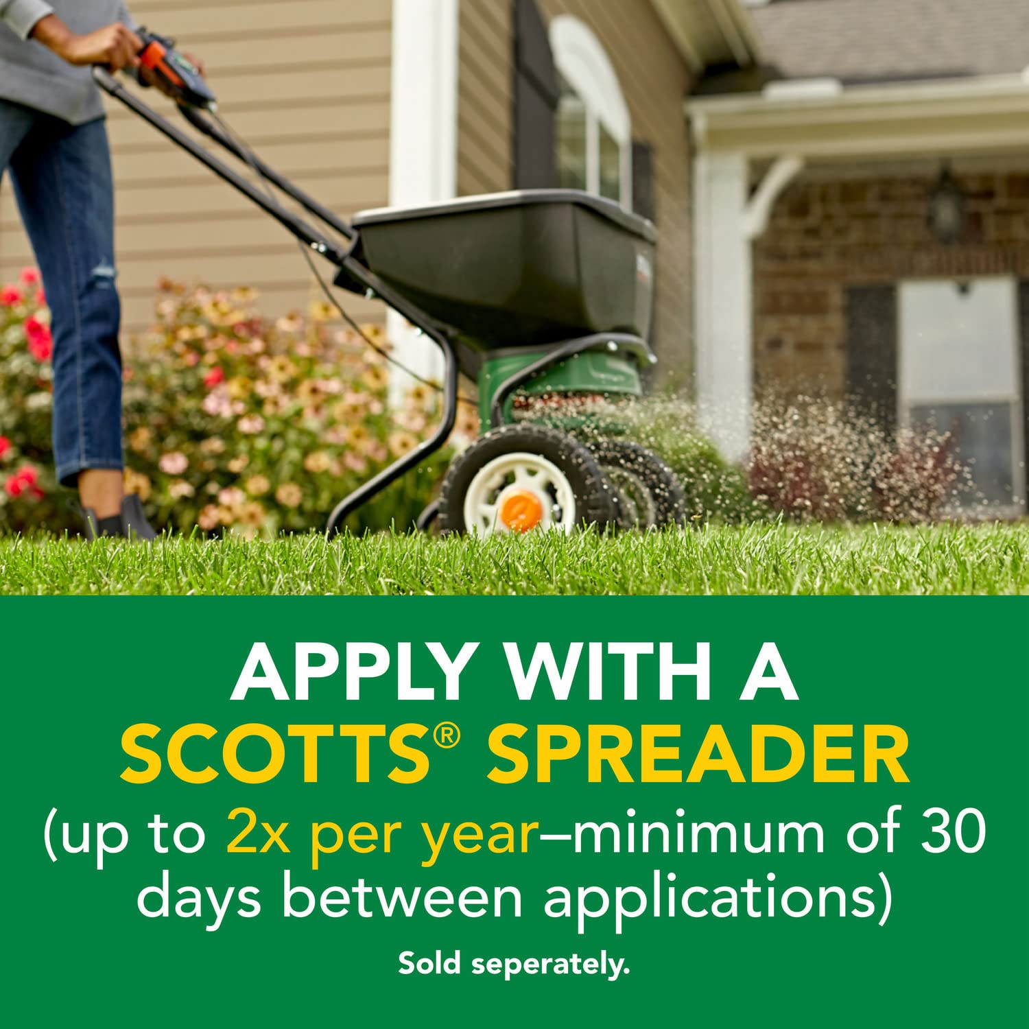 Dandelion weed on a lush lawn treated with Scotts Turf Builder Weed & Feed3.