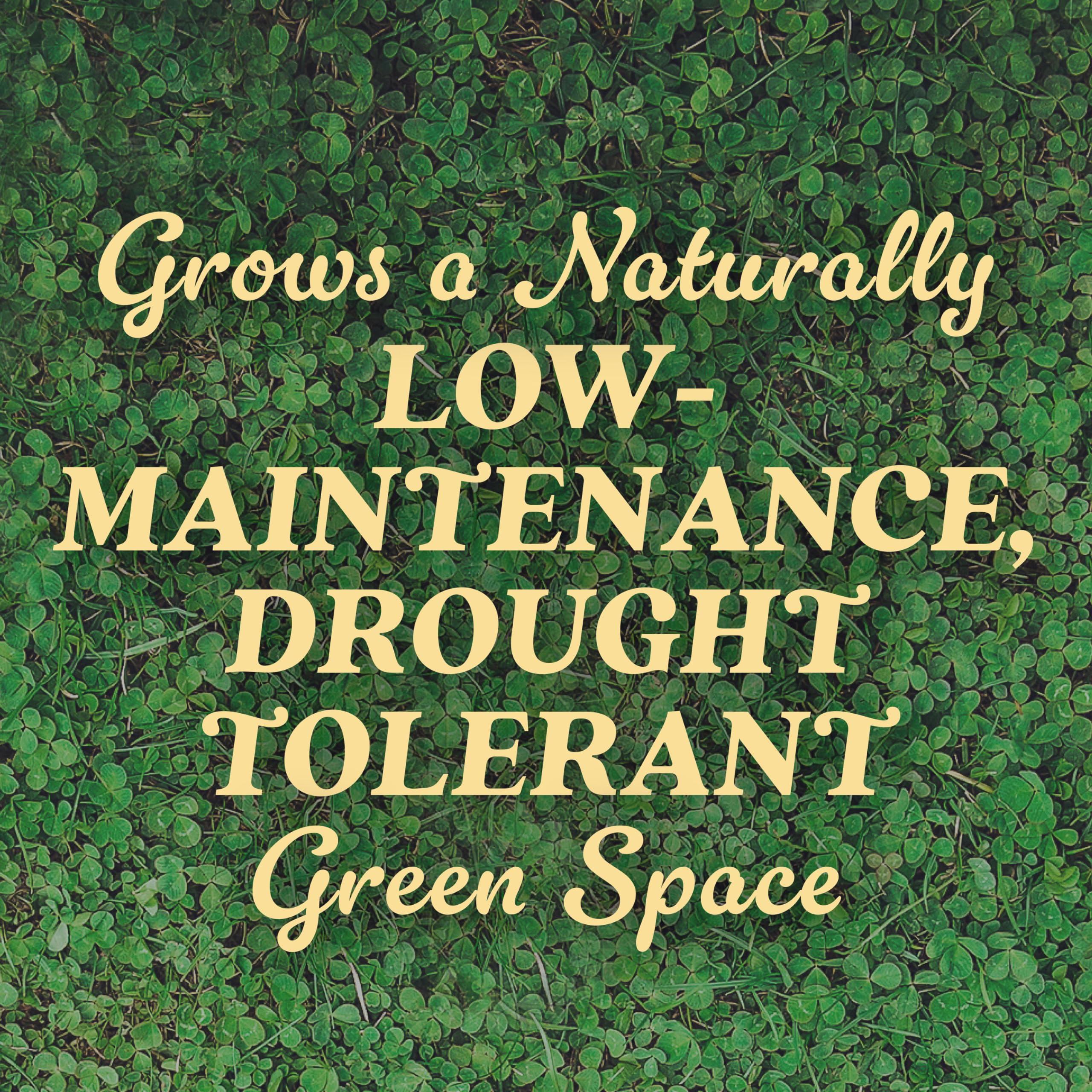 Scotts Clover Seed nitrogen-fix self-fertilizing feature enriches soil.