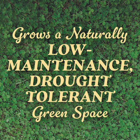 Scotts Clover Seed nitrogen-fix self-fertilizing feature enriches soil.