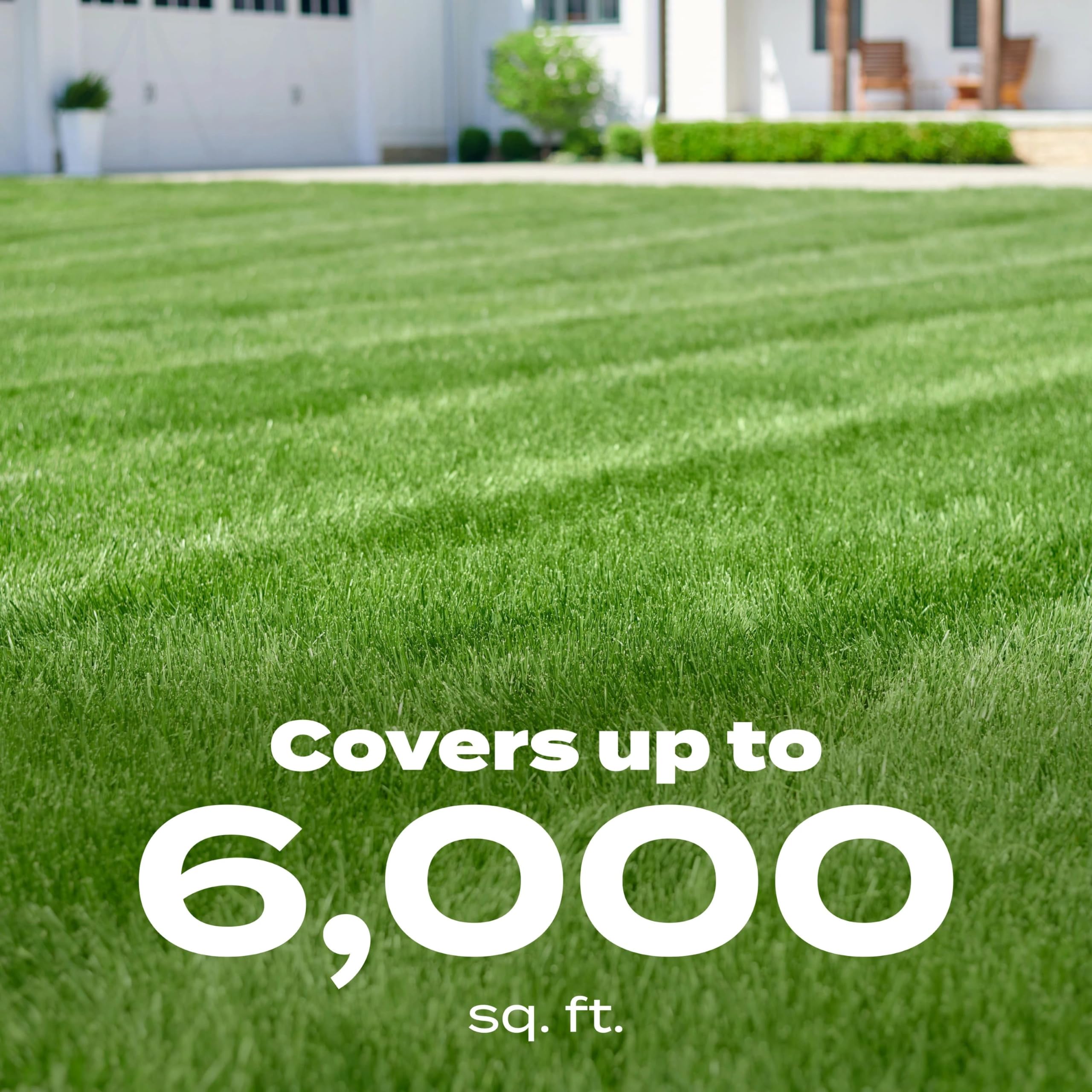 Coverage information for warm-season lawns up to 6000 sq ft.