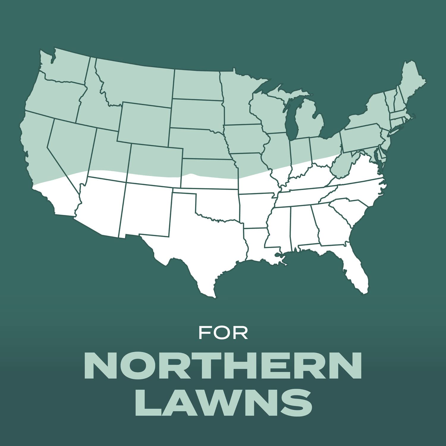 Scotts Dense Shade overseeding process demonstrated on an existing lawn.
