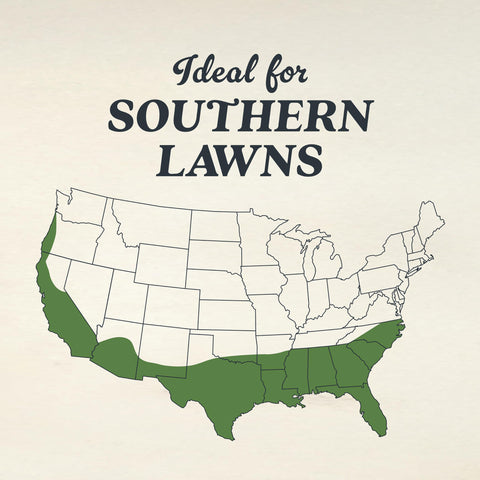 Scotts dichondra seed low maintenance yard highlights a lawn with less mowing