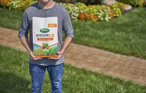 Scotts DiseaseEx 3-pack bags shown for easy seasonal disease prevention.