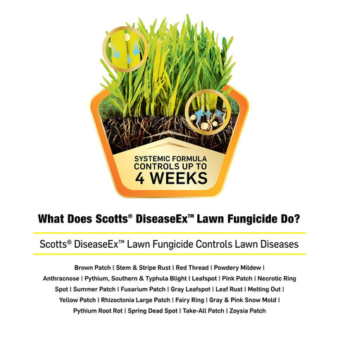 Scotts DiseaseEx after-seeding application for early protection.