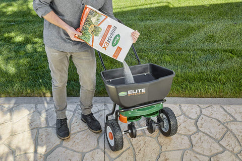 Lush green lawn during treatment with Scotts DiseaseEx fungicide.