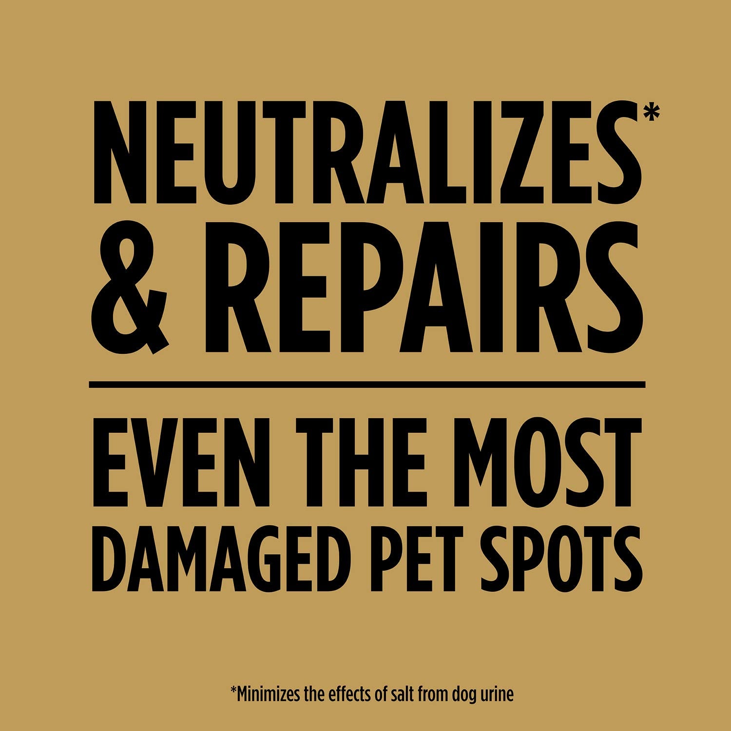 Scotts EZ Seed Dog Spot Repair salt neutralizer targets urine salts.