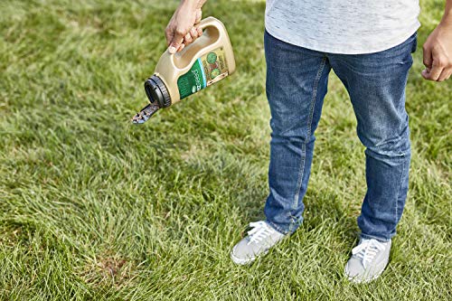 Scotts EZ Seed Dog Spot Repair meticulous watering when seeds darken.