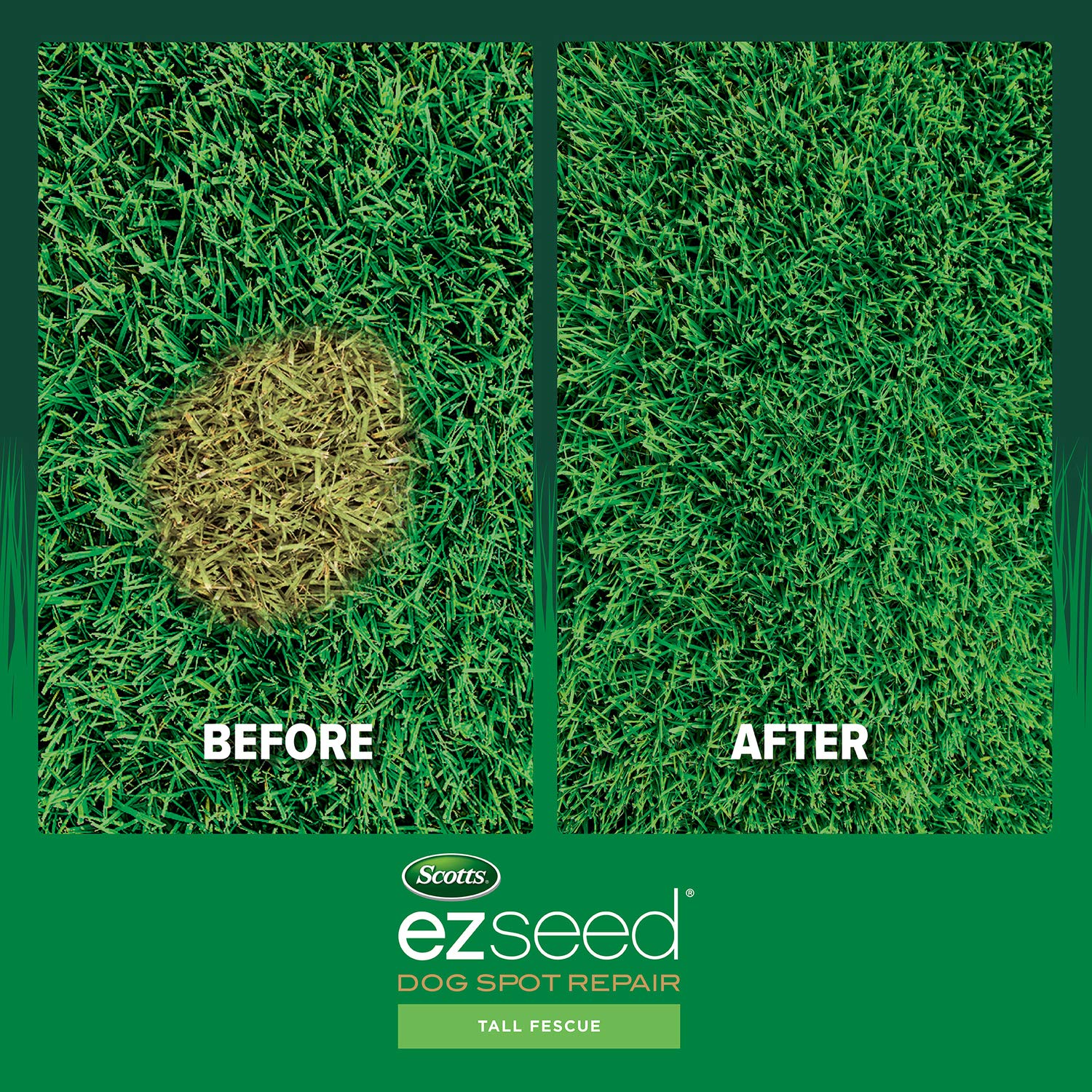 Spreading EZ Seed in to a lawn patch during application