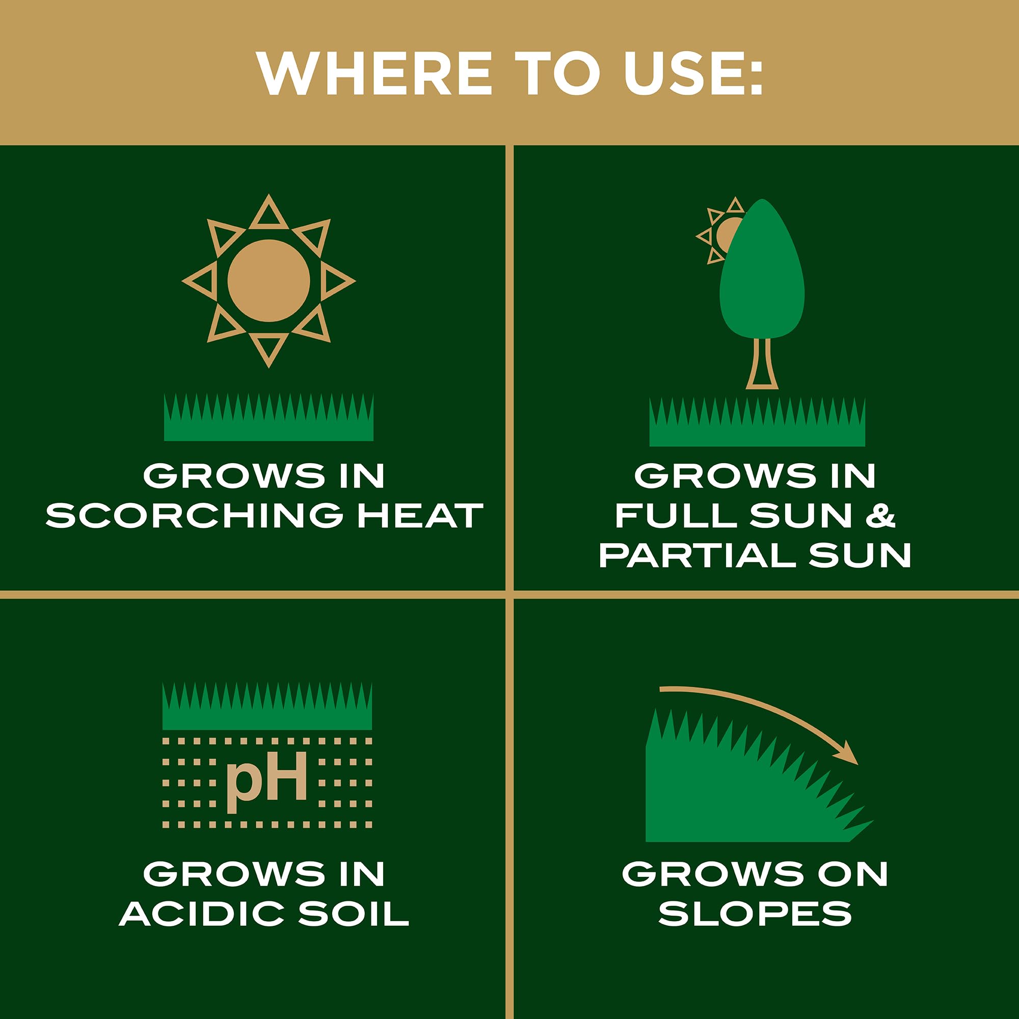 Scotts EZ Seed Patch & Repair germinating in warm sun at 70–90°F.