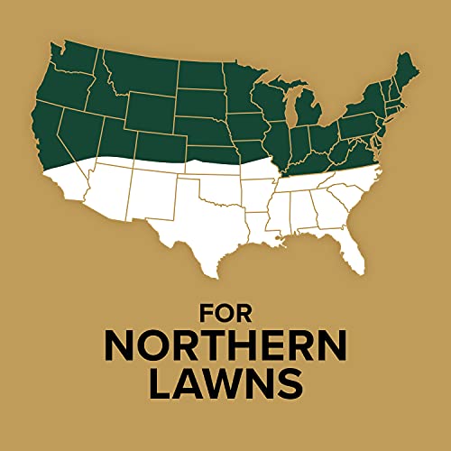 Scotts EZ Seed Patch & Repair helps repair bare spots in busy lawns.