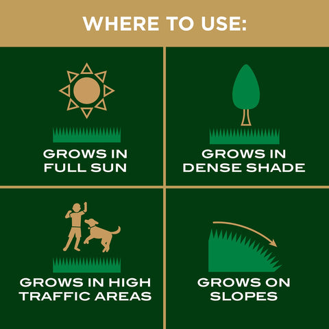 Scotts EZ Seed Patch & Repair supports new growth in sun, shade, and high traffic.