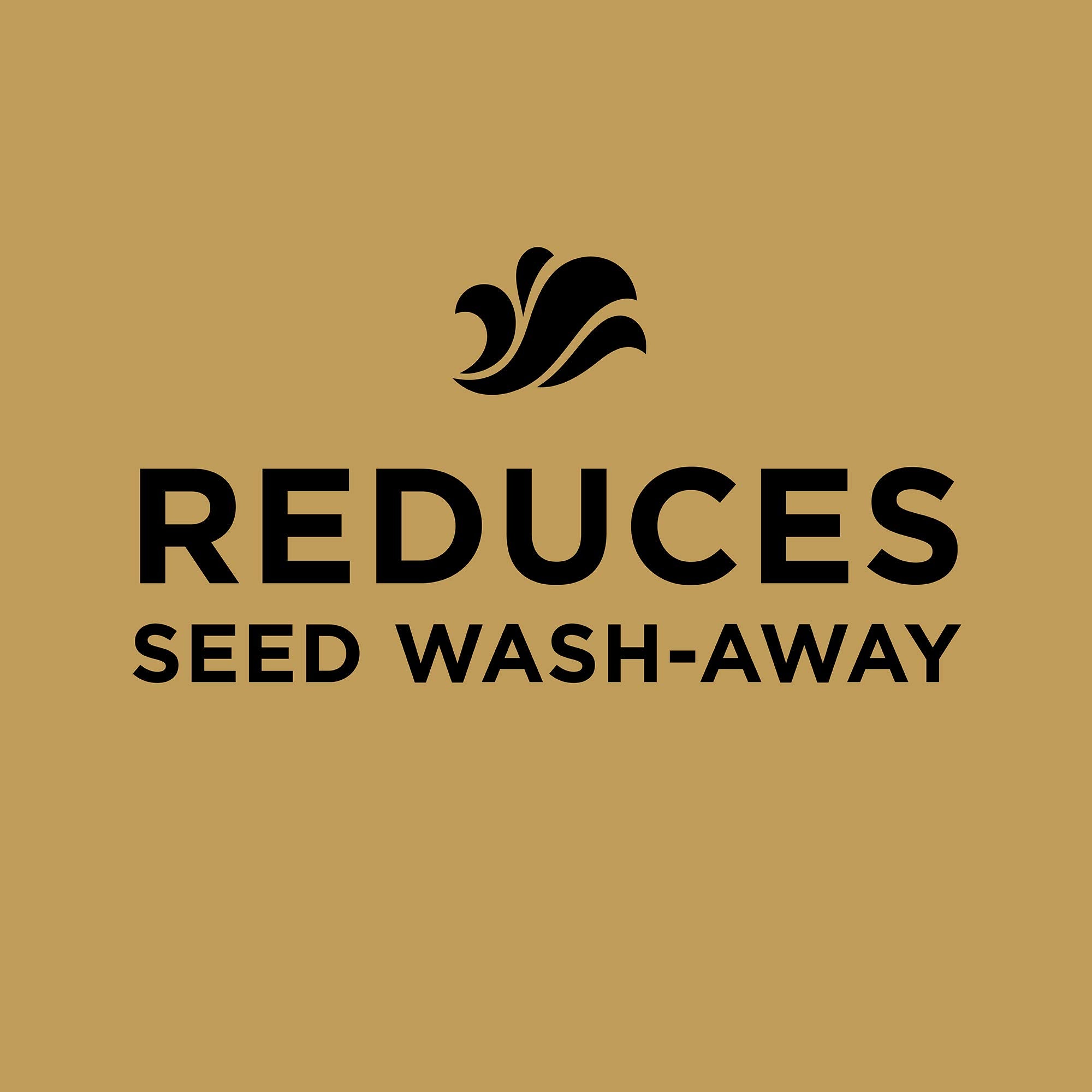 Scotts EZ Seed heat-tolerant bermudagrass thrives in scorching conditions.