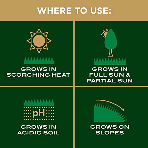 Scotts EZ Seed Patch & Repair Centipede Grass warm-temperature germination scene.