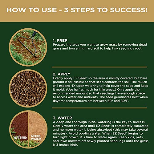 Scotts EZ Seed Patch & Repair combines seed, mulch, and fertilizer in one bag.