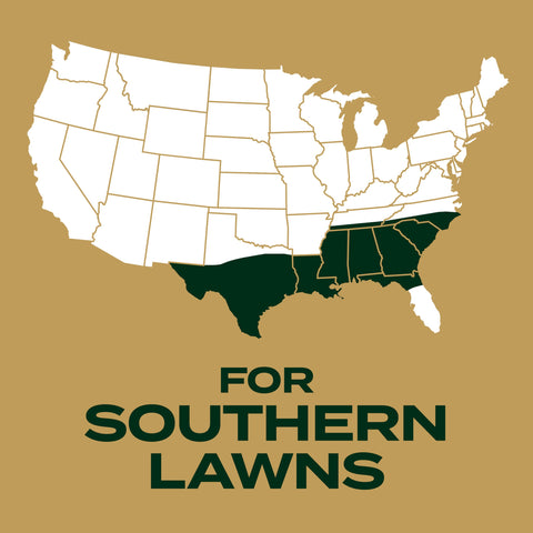 Scotts EZ Seed Patch & Repair promotes uniform germination across the repair area.