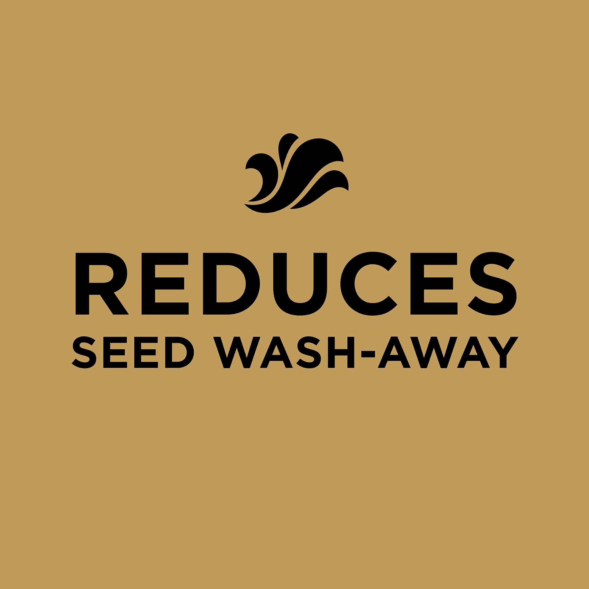 Scotts EZ Seed Patch & Repair ideal for dry areas and sun-exposed patches.