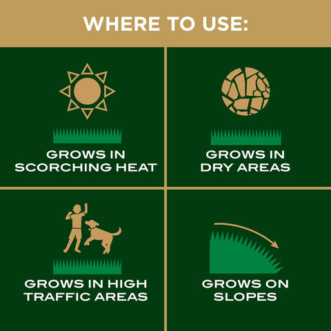 Scotts EZ Seed Patch & Repair suitable for slopes and uneven lawn patches.
