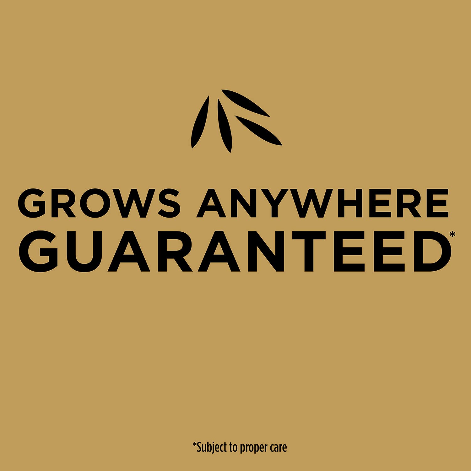 Tackifier in Scotts EZ Seed helps prevent wash-away during watering.