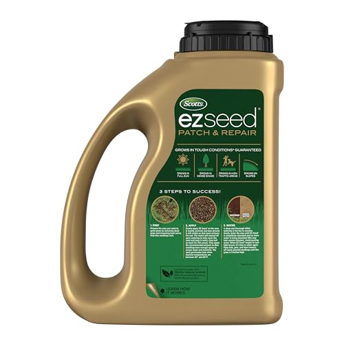 Scotts EZ Seed Patch & Repair tall fescue seed close-up highlighting germination potential.