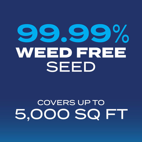 Overseeding process with Scotts mix to improve lawn density