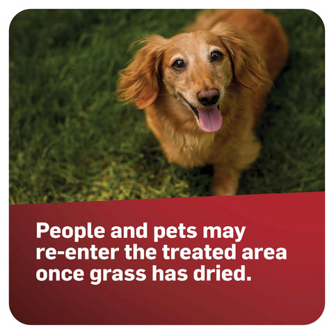 Armyworm and caterpillar control highlight broader Scotts GrubEx1 lawn protection.