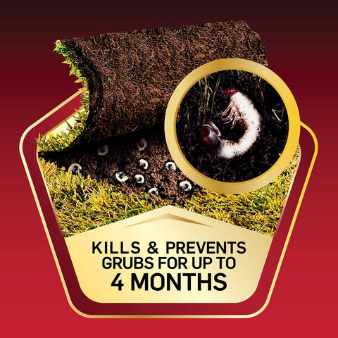 Scotts GrubEx1 kills grubs when young to protect roots