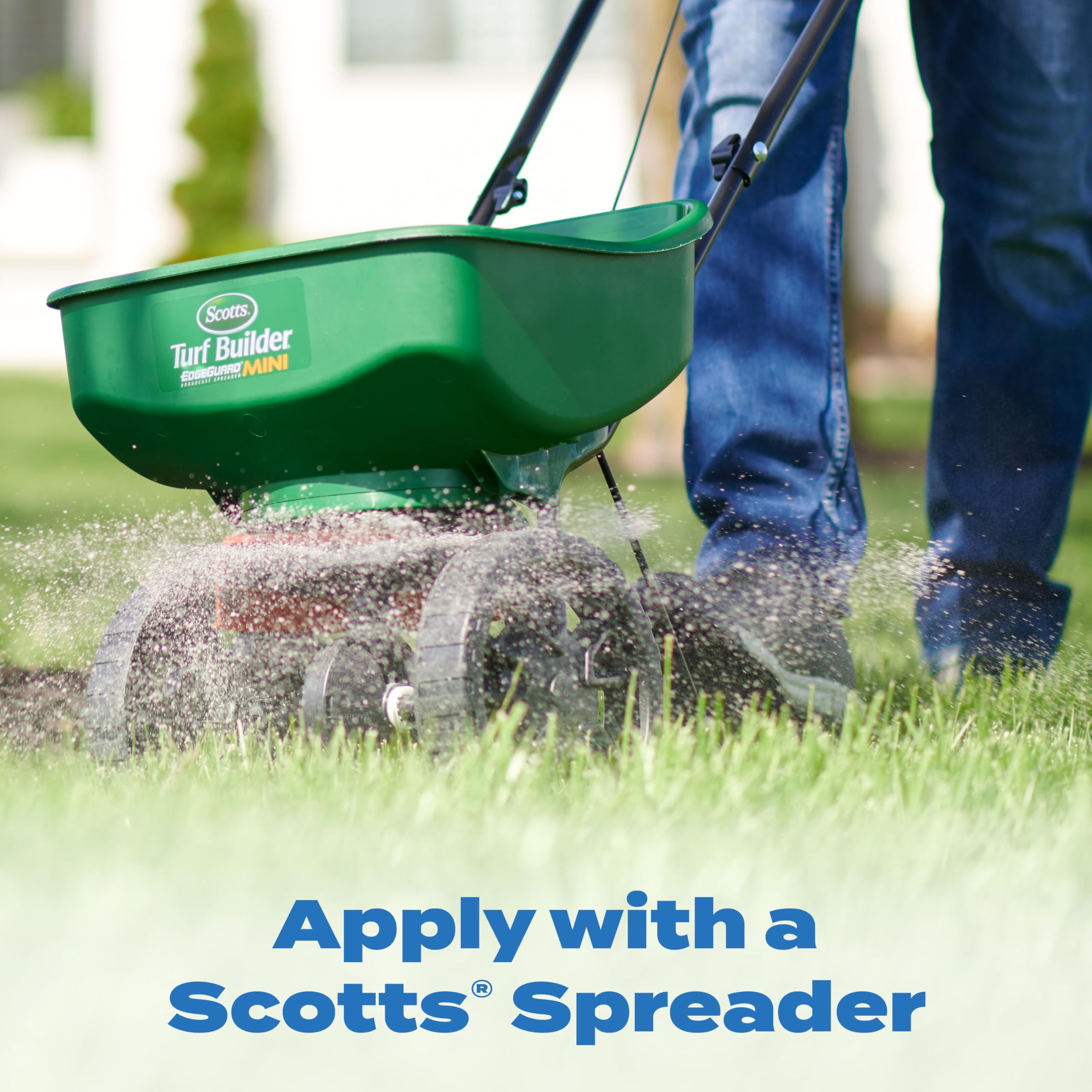 Fall application of Scotts Halts prevents winter weeds on a thriving lawn.