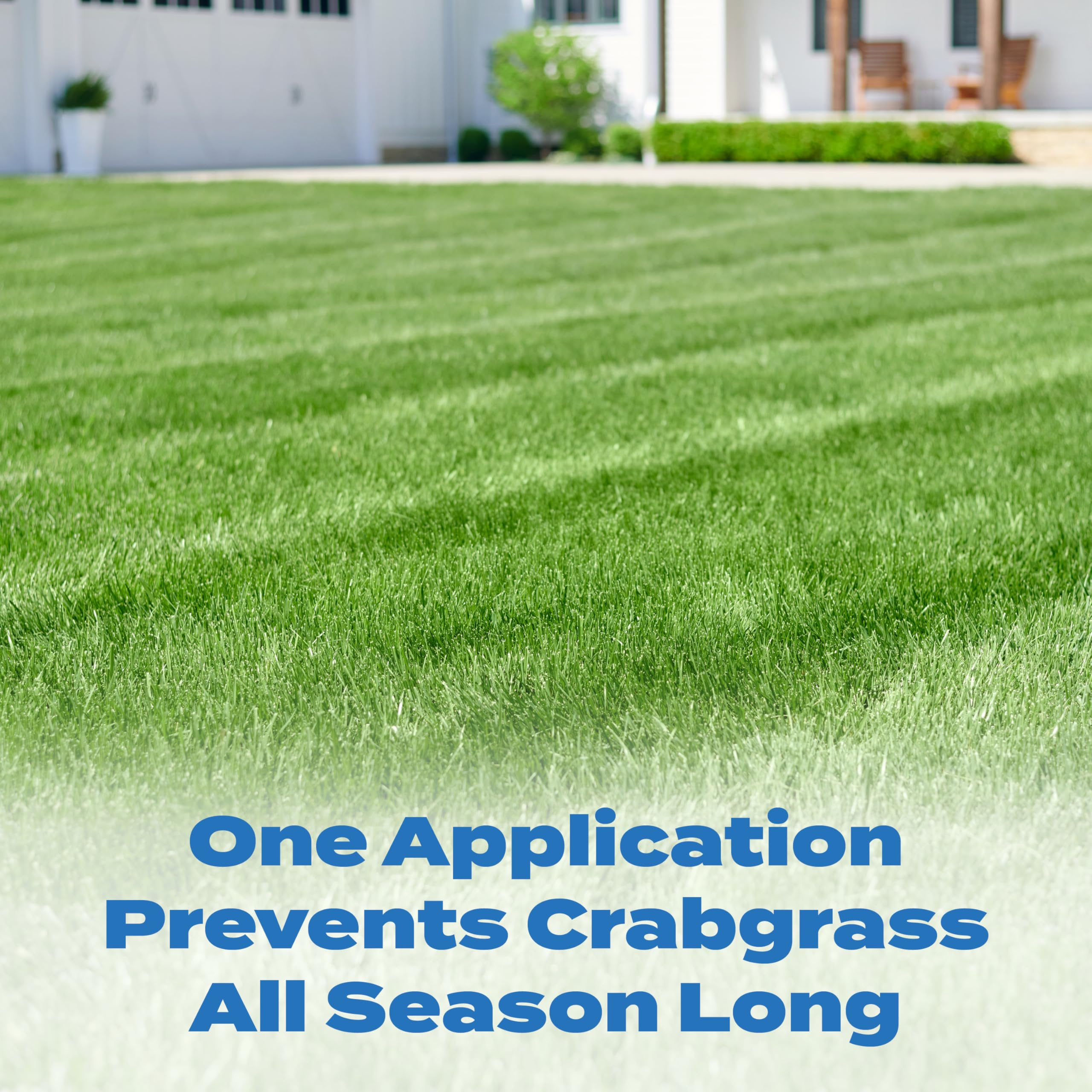 Granules of Scotts Halts spread across green turf for seasonal weed control.