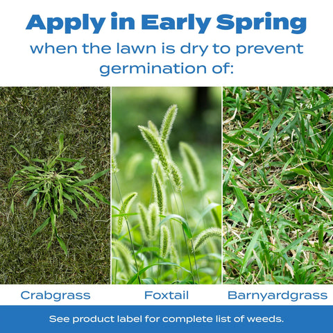 Scotts Halts fall application protecting moss and winter weeds.