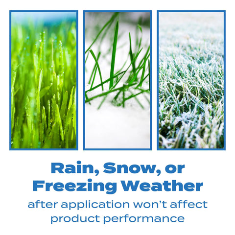 Scotts Halts granules on a dry lawn illustrating pre-emergent weed prevention.