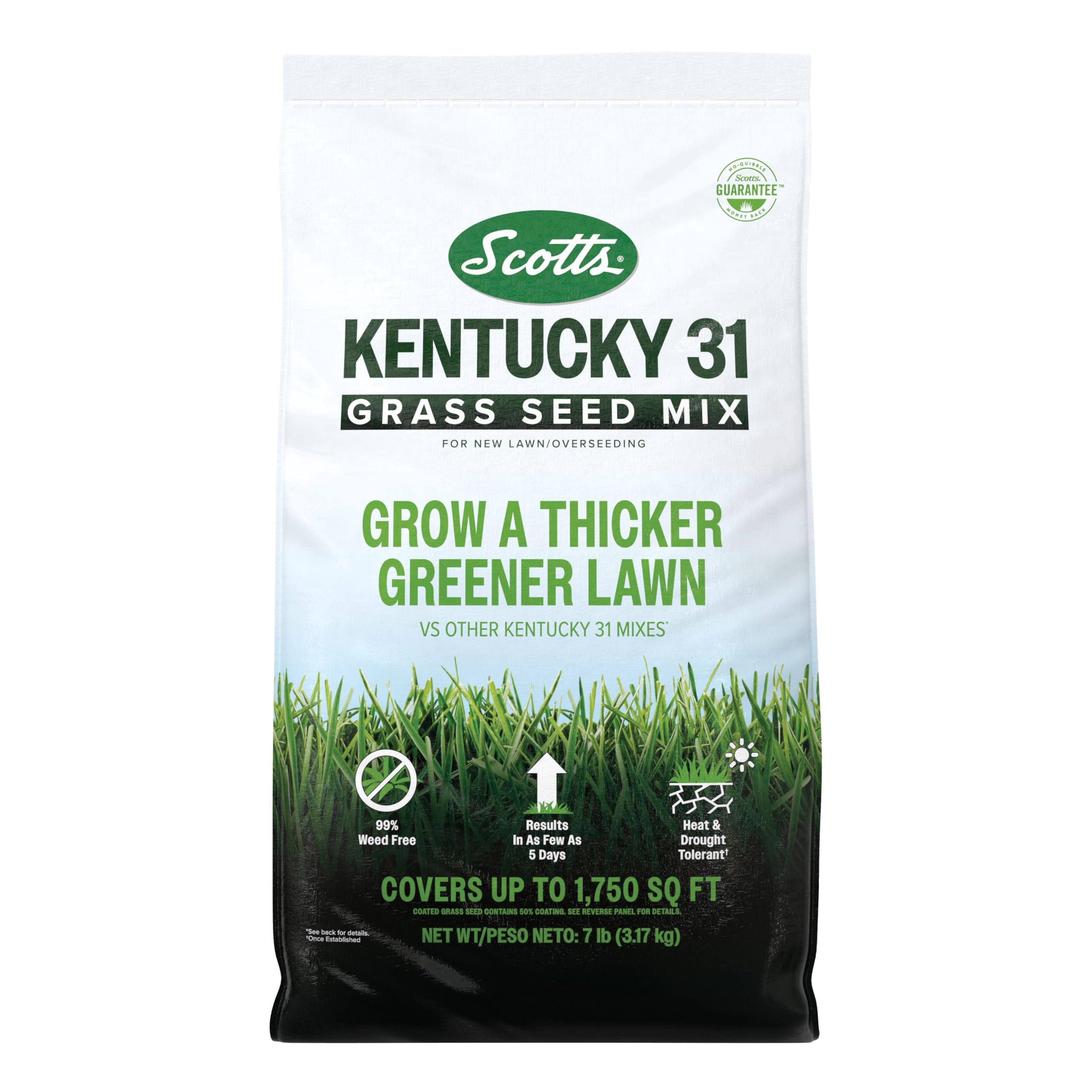 Scotts Kentucky 31 seed mix bag close-up showing versatile seed blend for robust germination.