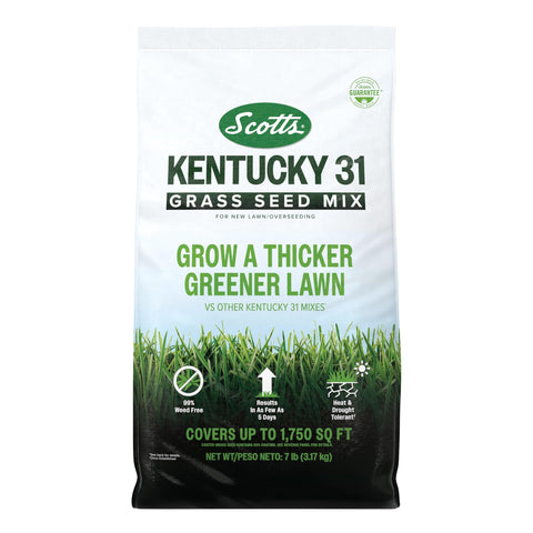 Scotts Kentucky 31 seed mix bag close-up showing versatile seed blend for robust germination.