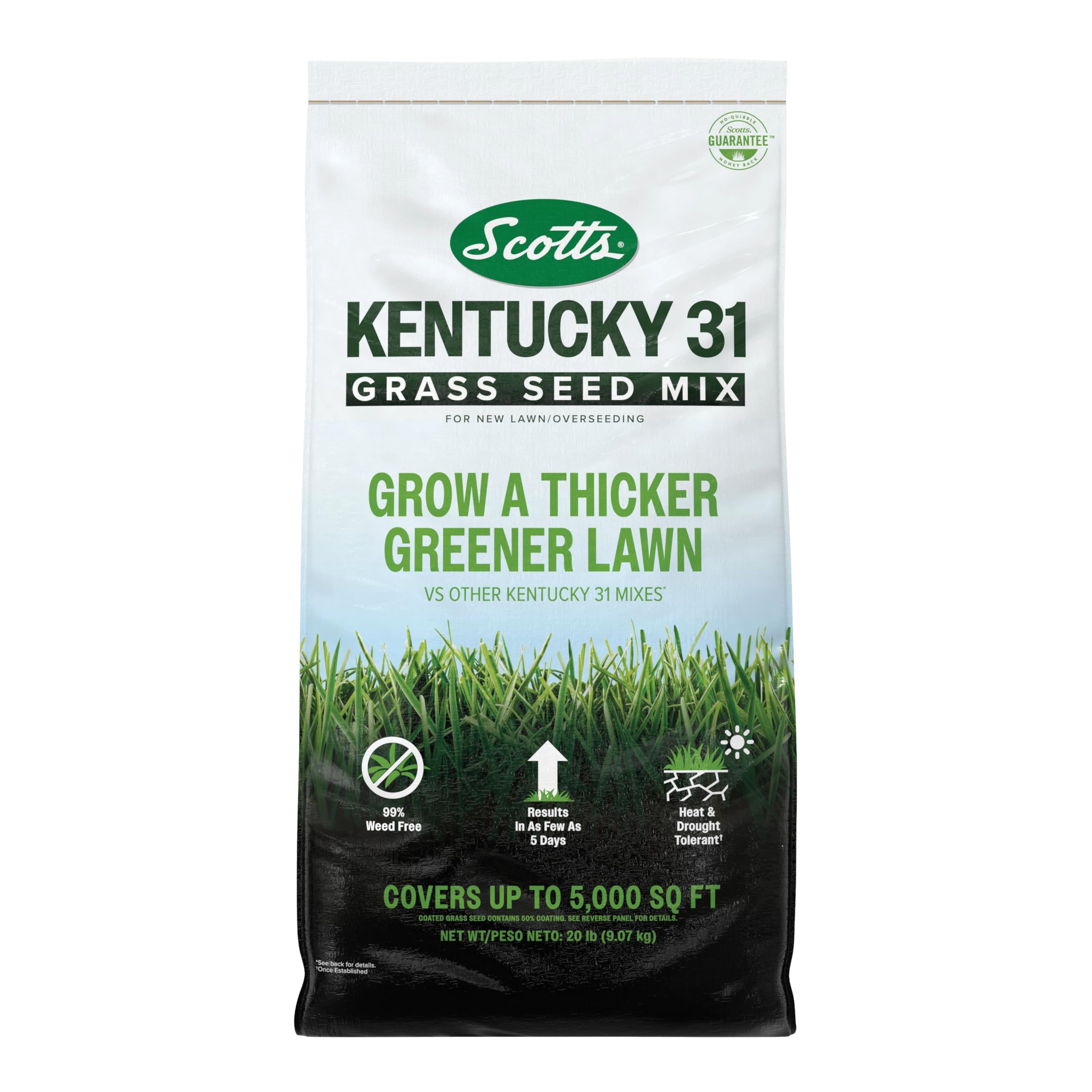 Scotts Kentucky 31 seed mix bag showing durable blend for a lush lawn