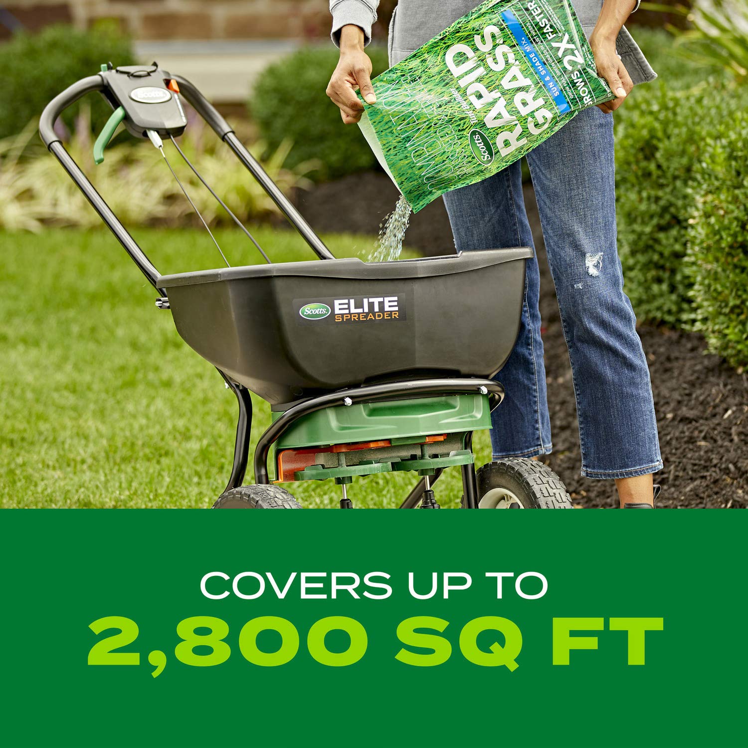 Regular lawn feeding every 8 weeks with Scotts Lawn Food