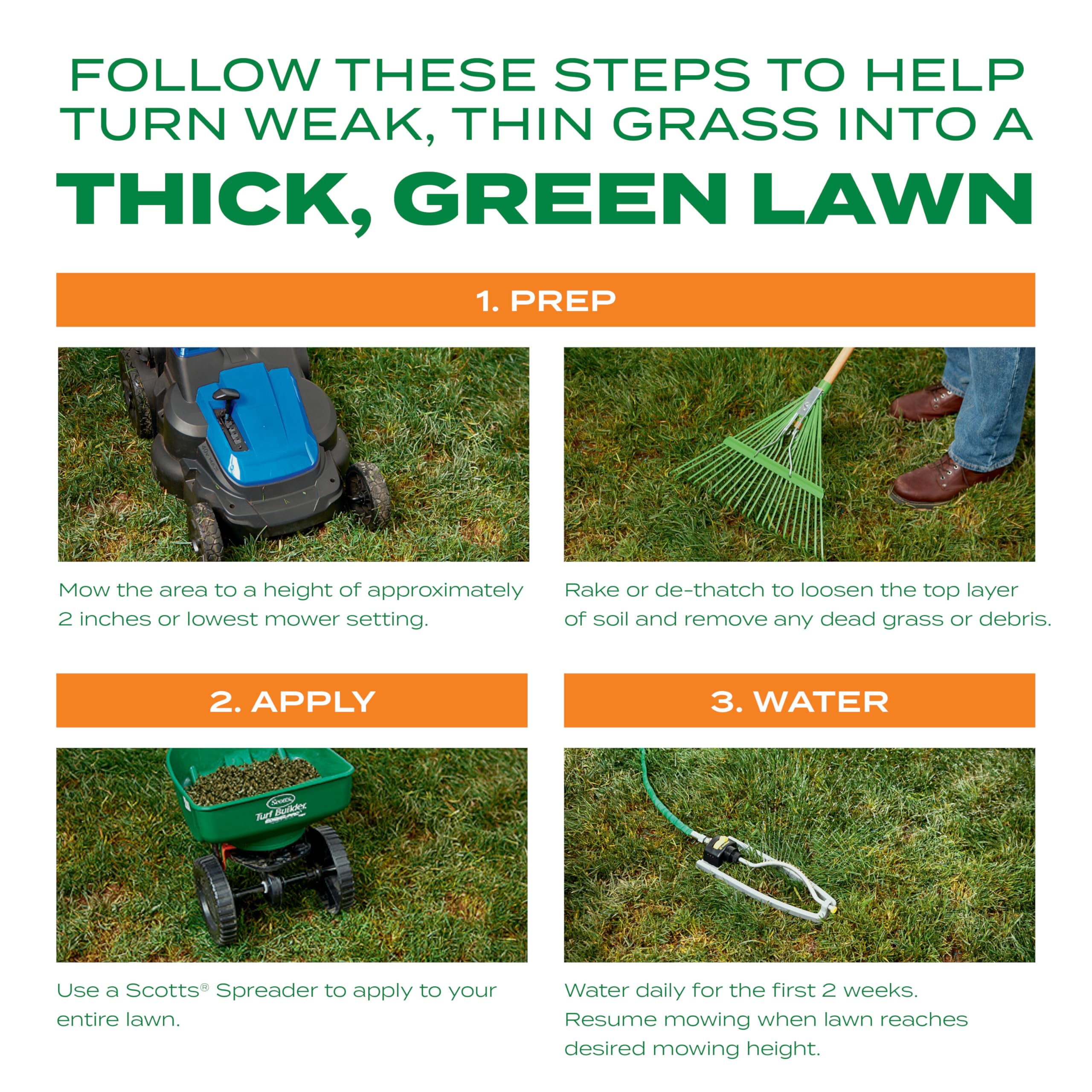 Lawn prep: mowing low and loosening soil before overseeding.