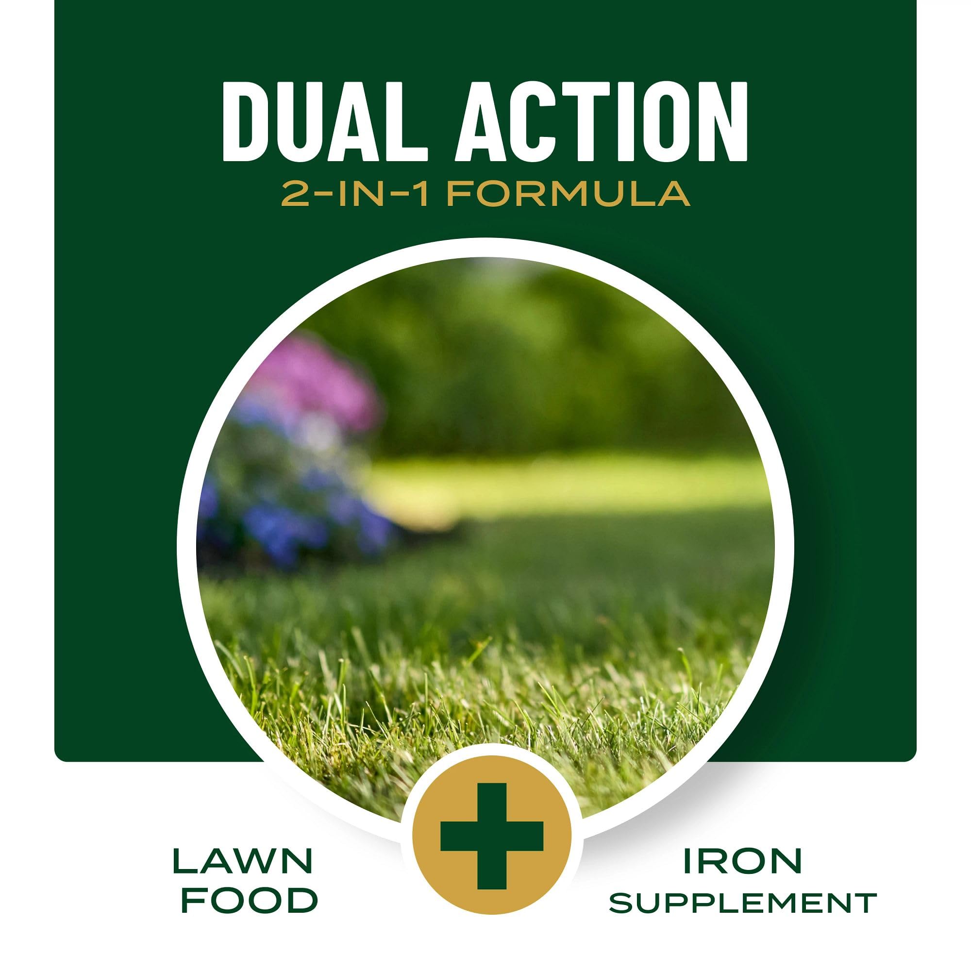 Lawn shown evenly greened across a 2000 sq ft area.