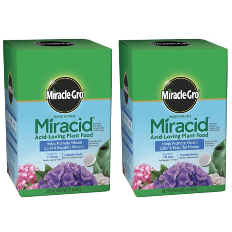 Scotts Miracle-Gro Miracid for acid-loving plants nourishes azaleas and hydrangeas quickly